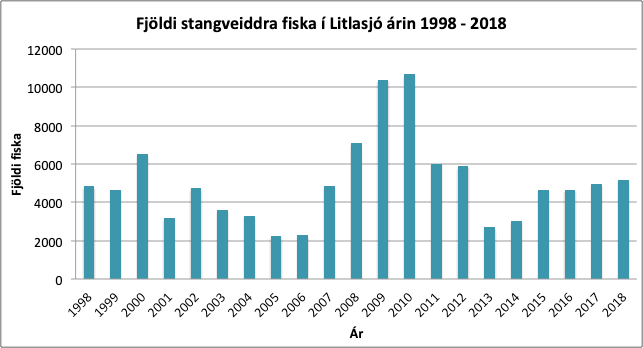 Stangveiði í Litlasjó