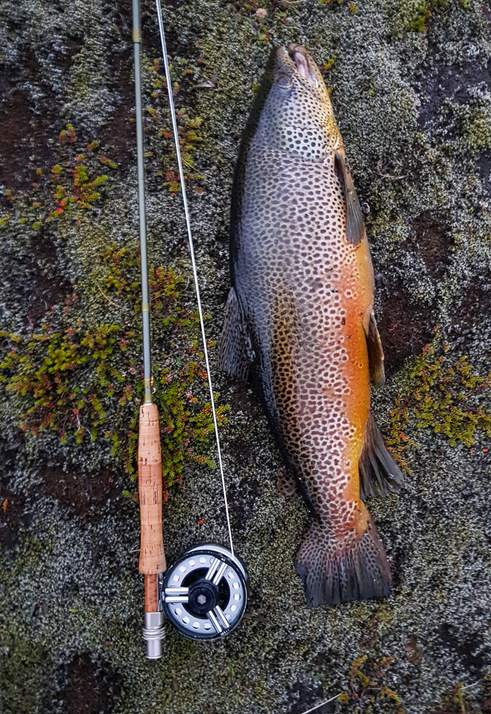 Veiðivötn 2019