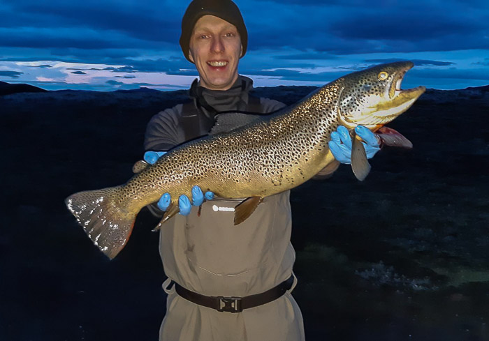 Veiðivötn 2019