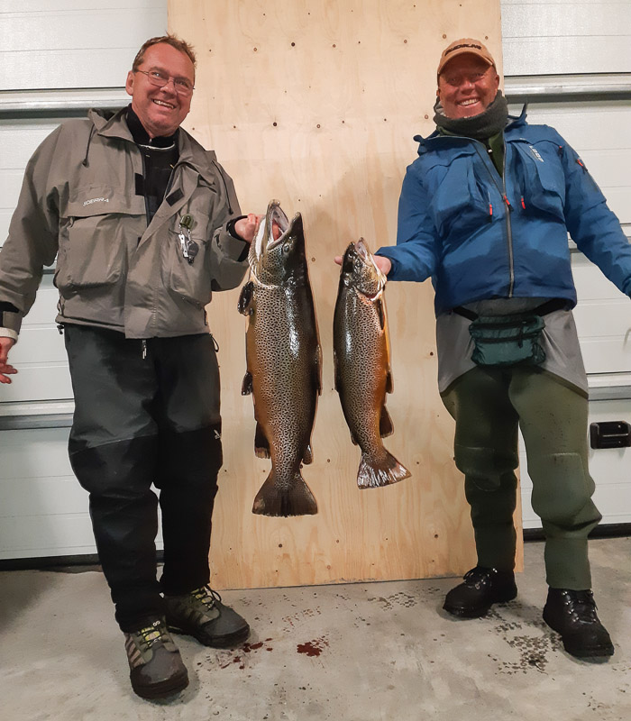 Veiðivötn 2019